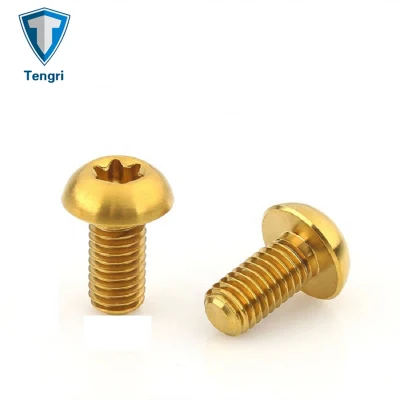 골드 티타늄 Ti M5 x 10mm 산악 자전거 디스크 로터 Torx 나사